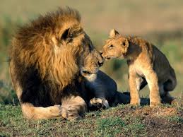 Kenya Tour Packages